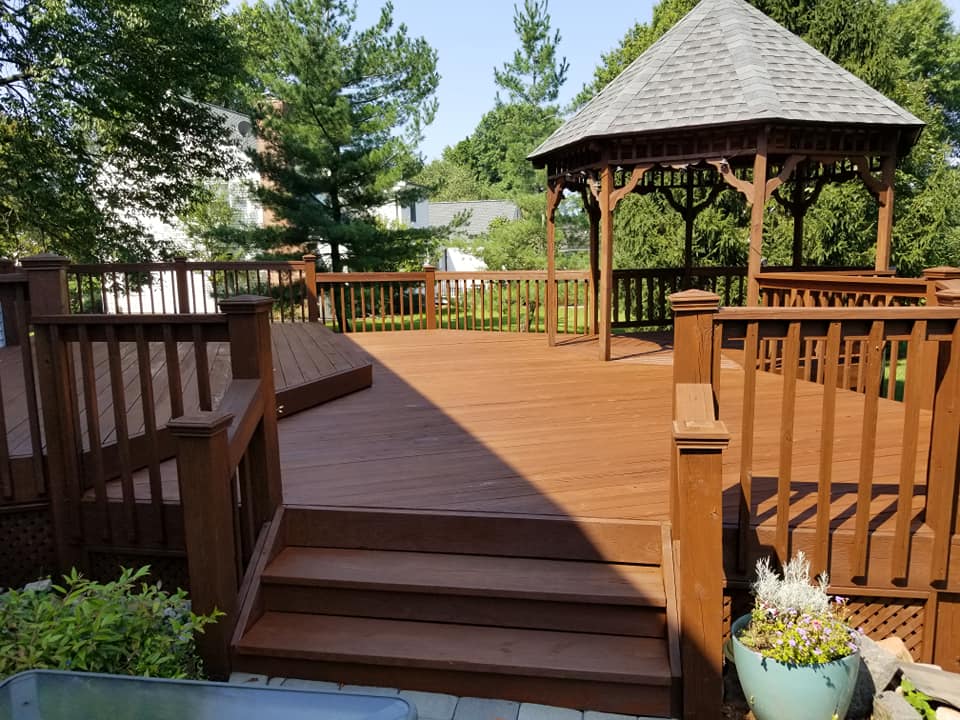 Expert Professional Painter