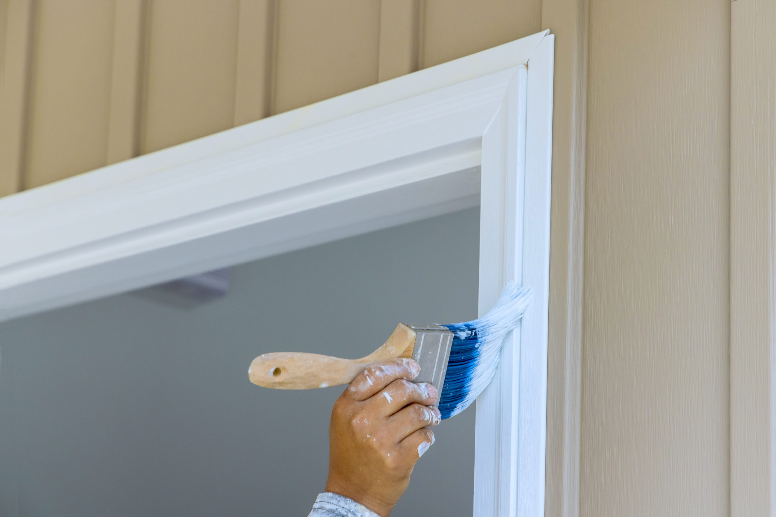 Expert Professional Painter