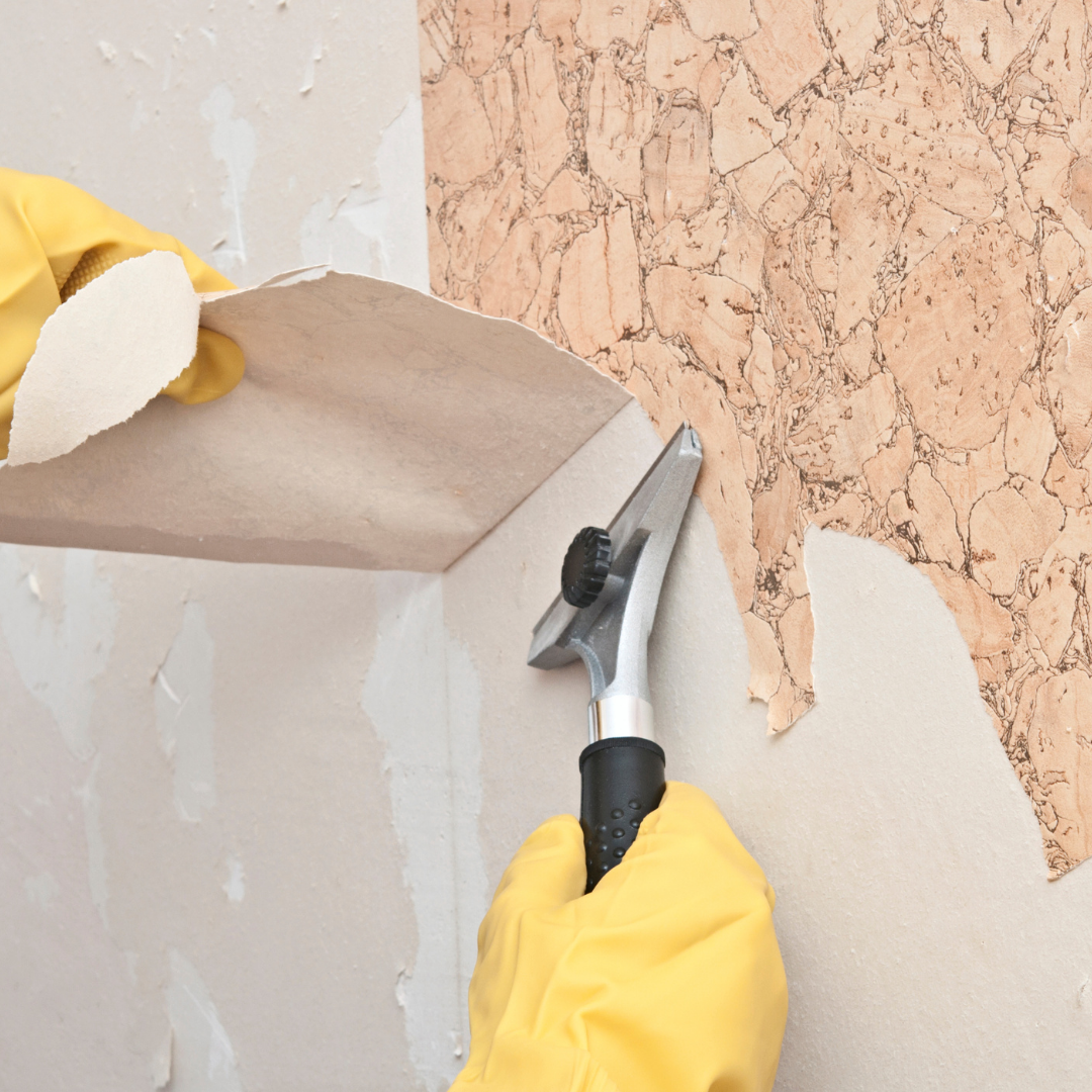 Expert Professional Painter