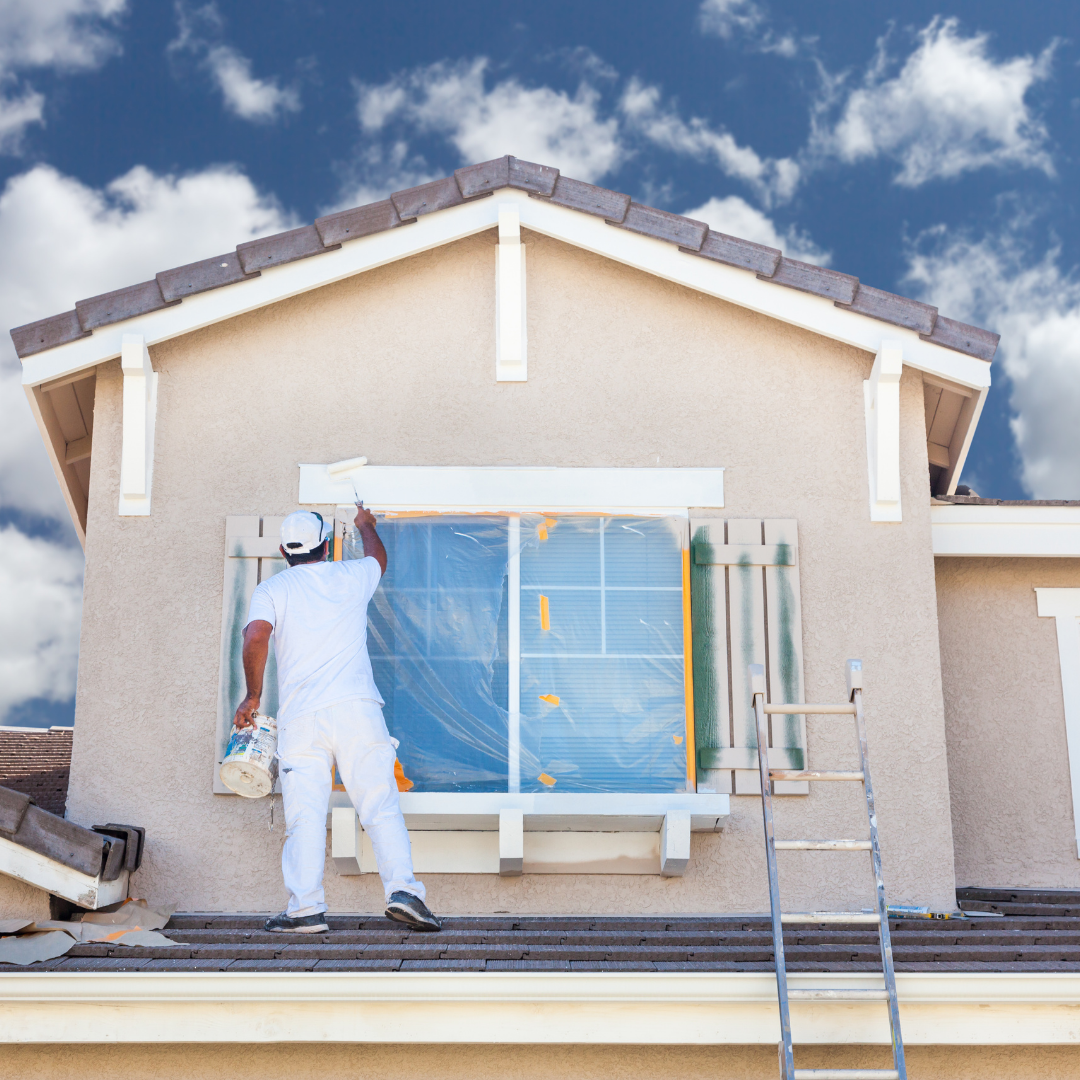 Expert Professional Painter