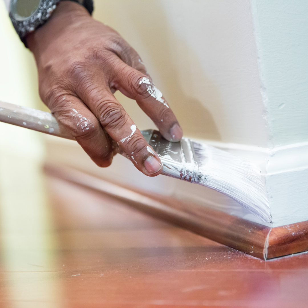 Expert Professional Painter