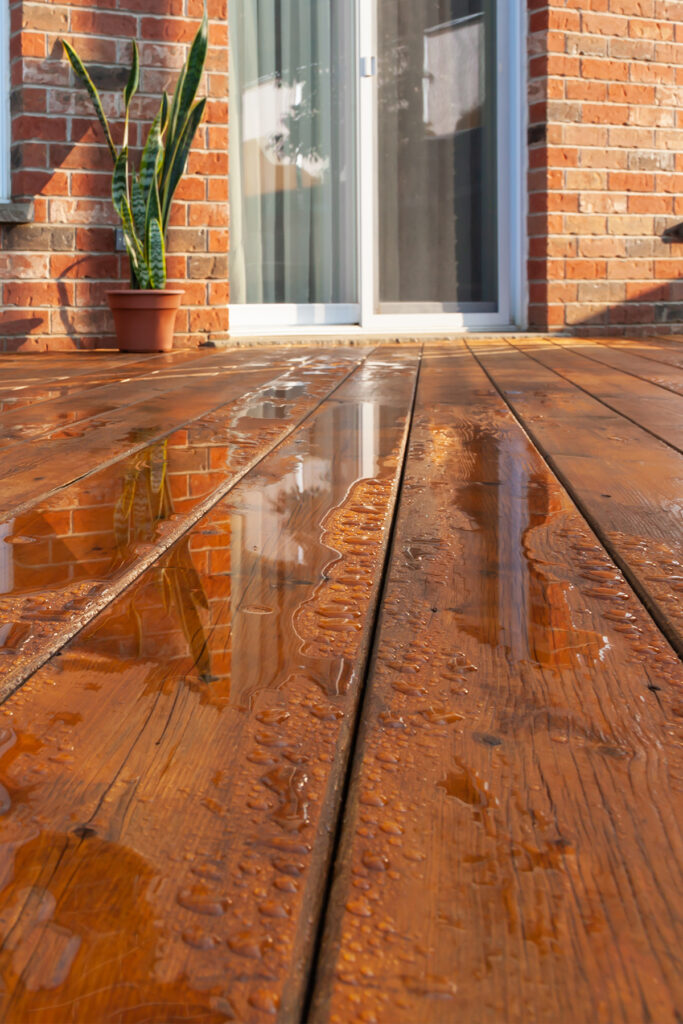 Staining Services