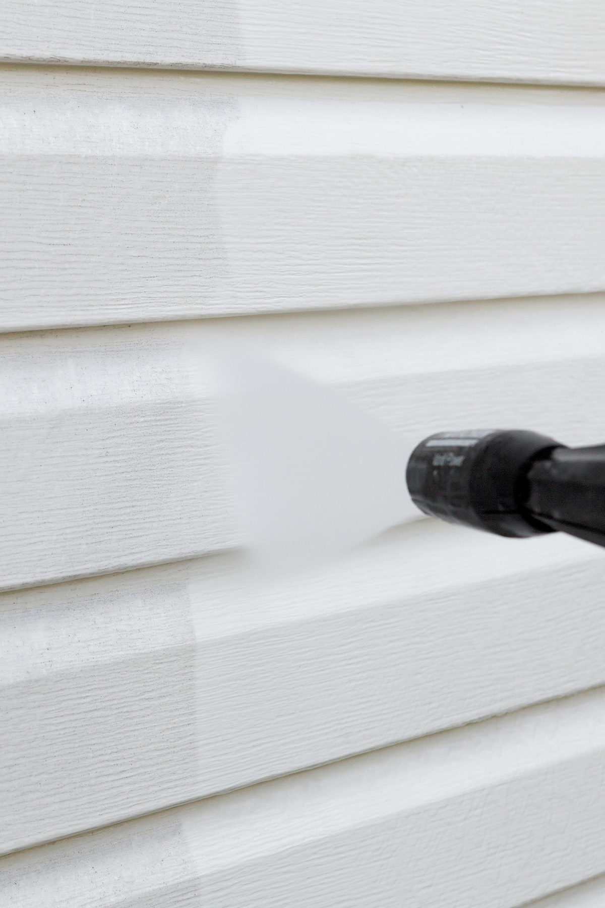 Expert Professional Painter