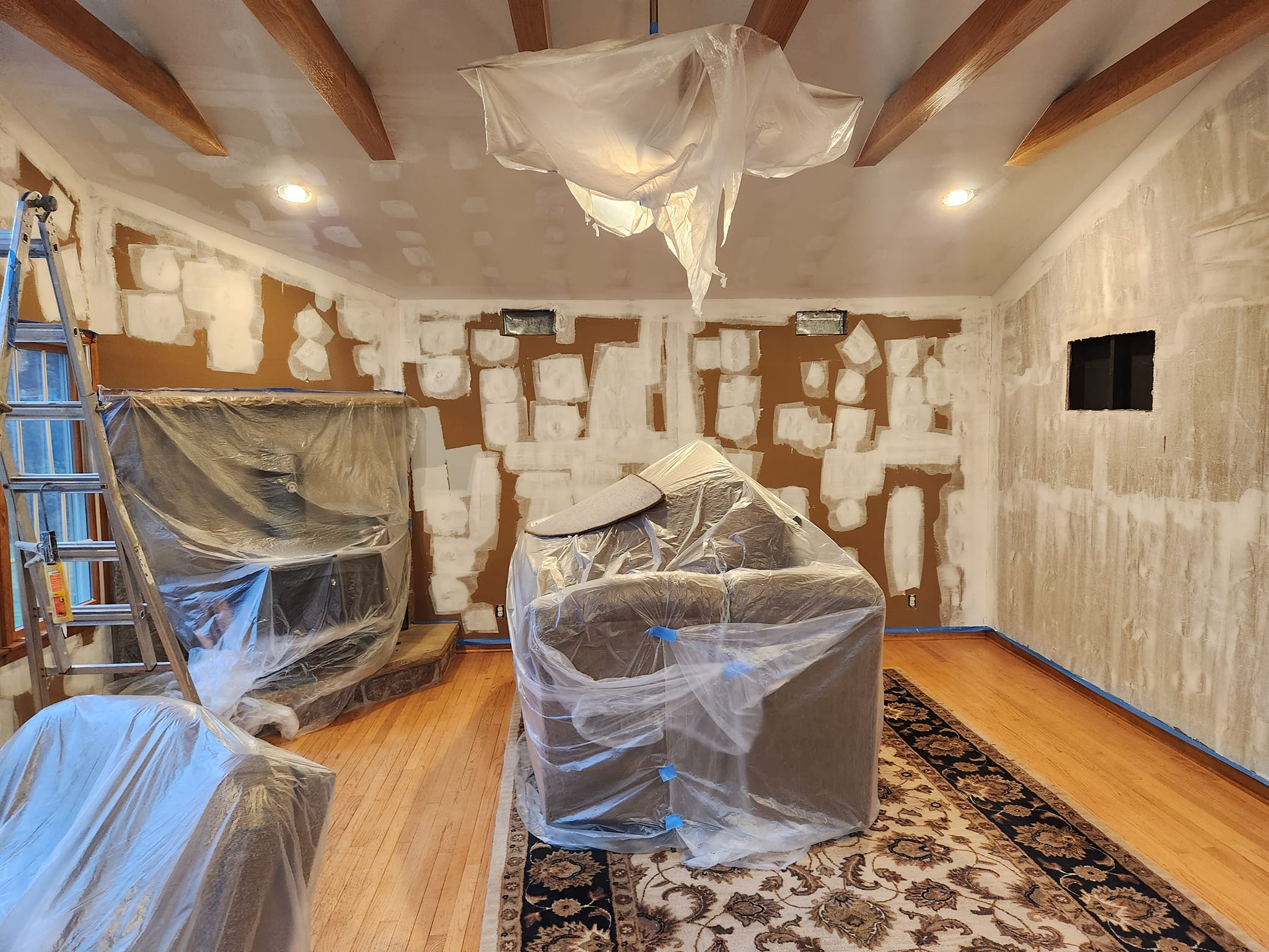 Expert Professional Painter